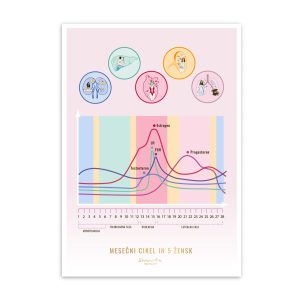 Plakat Mesečni cikel in 5 Žensk